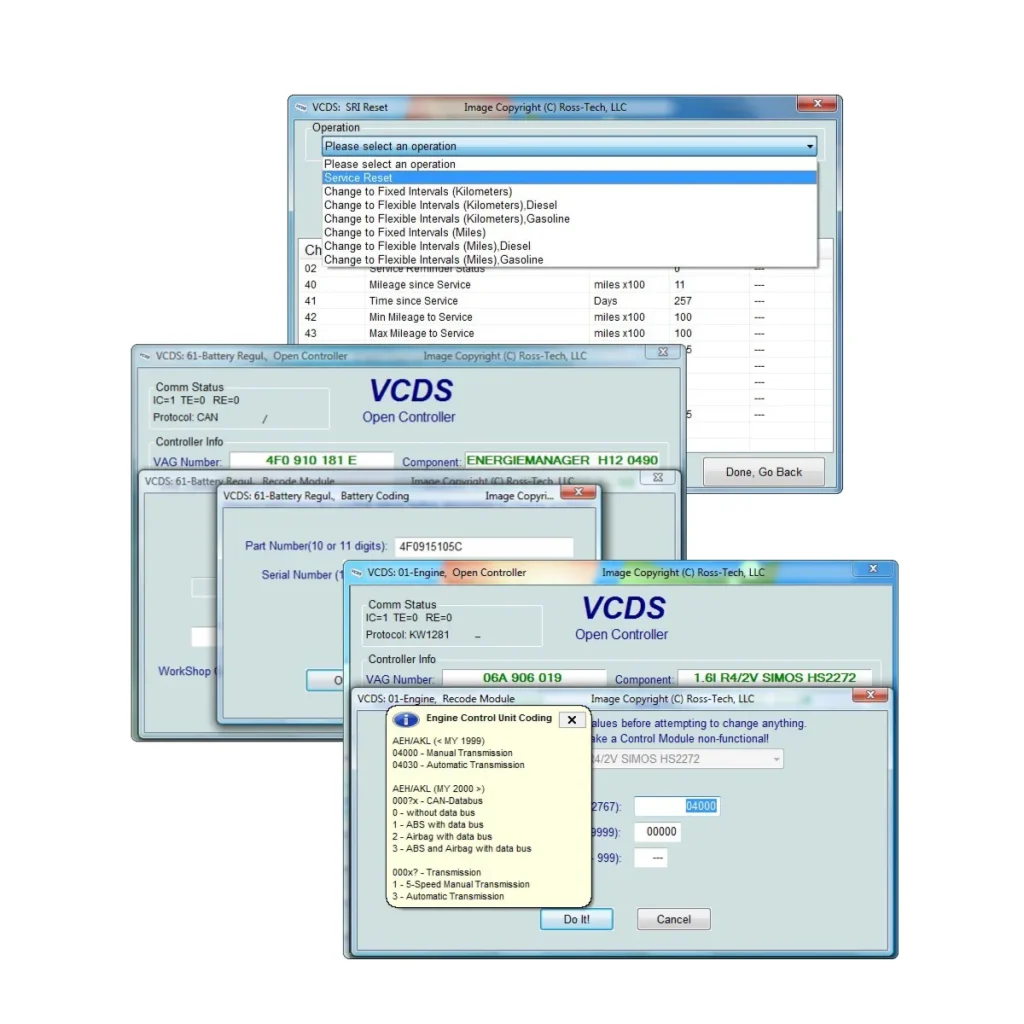 VCDS software